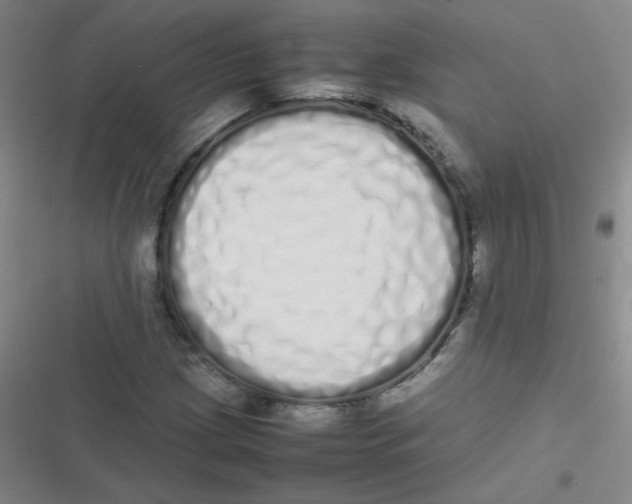 X0000116841209201001081451