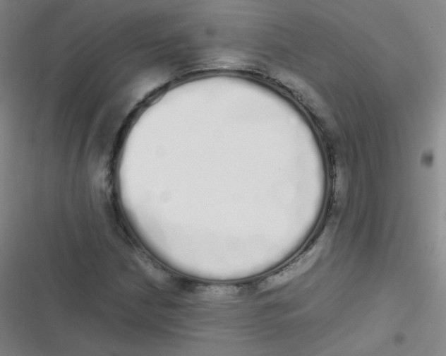 X0000116841210201001081451