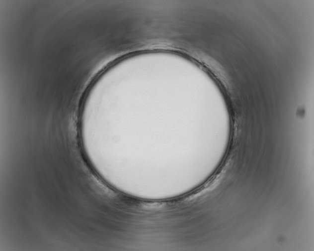 X0000116841212201001081451