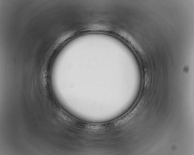 X0000116841213201001081451