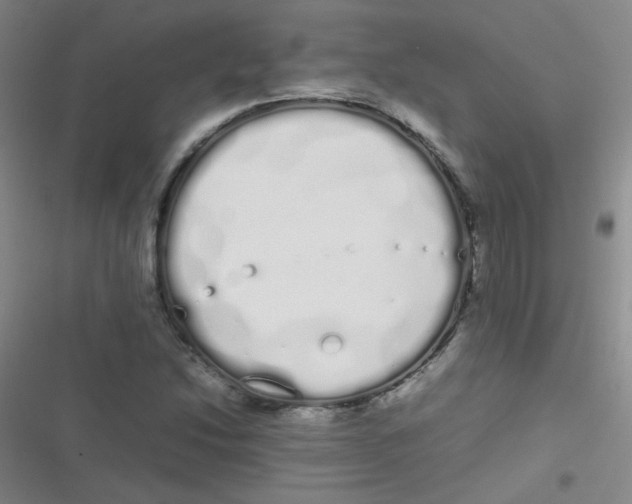 X0000116841214201001081451