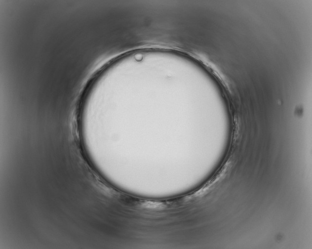 X0000116841215201001081451