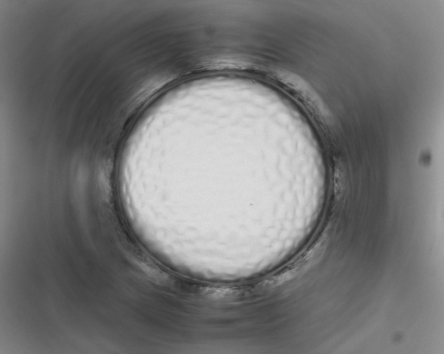 X0000116841217201001081451