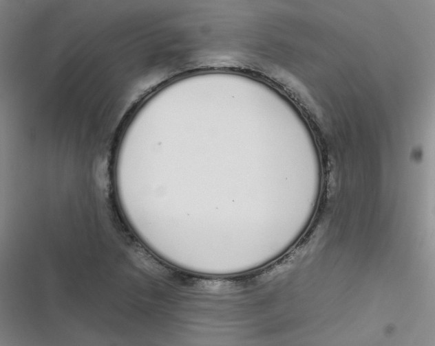 X0000116841218201001081451