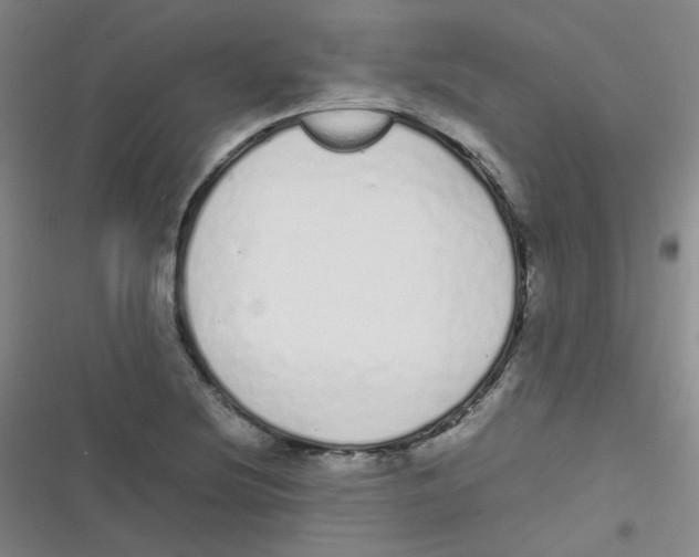 X0000116841220201001081451