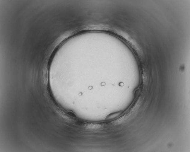 X0000116841221201001081452