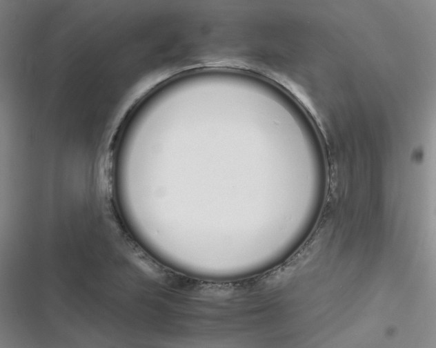 X0000116841223201001081452