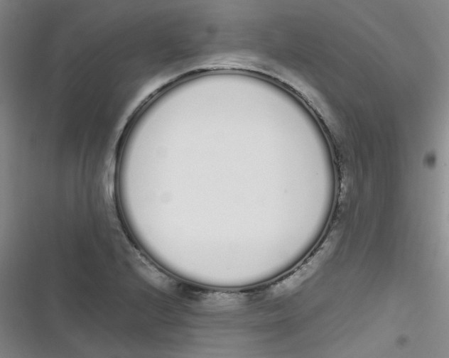 X0000116841224201001081452