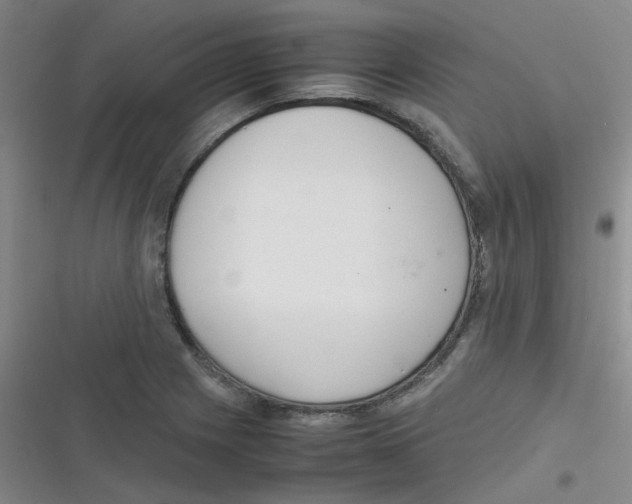 X0000116841225201001081452