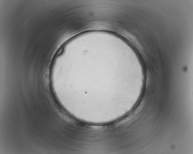 X0000116841226201001081452