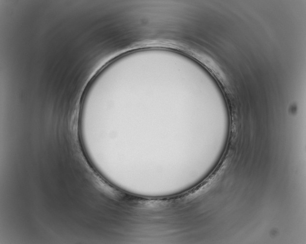 X0000116841228201001081452