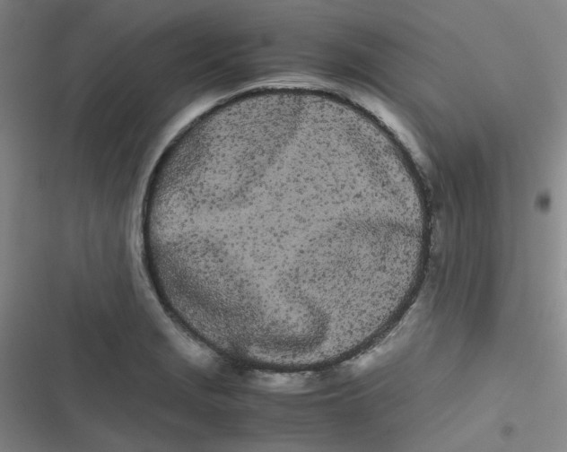 X0000116841229201001081452