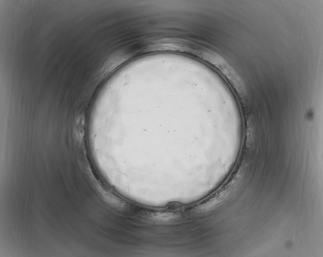 X0000116841233201001081452