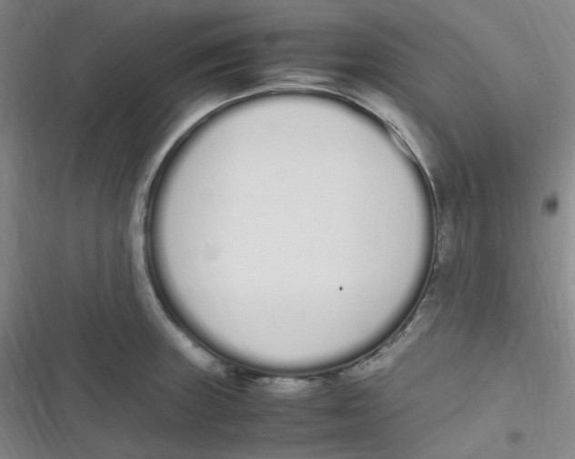 X0000116841235201001081452