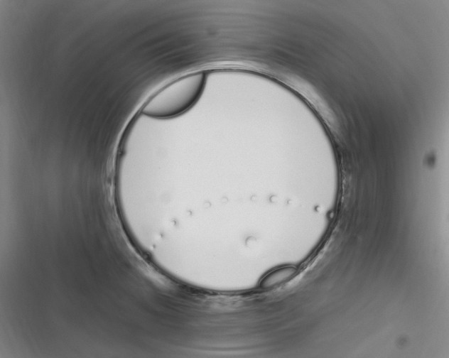 X0000116841236201001081452