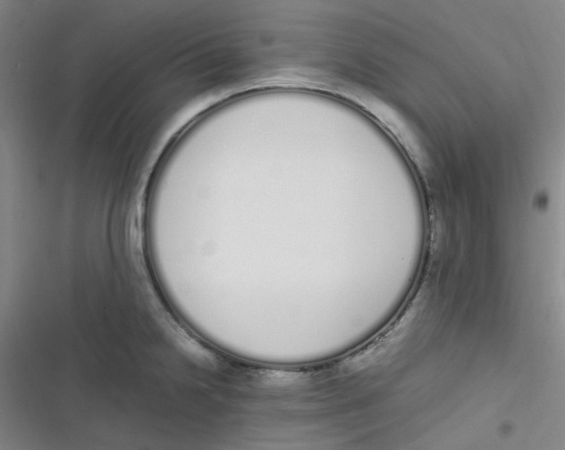 X0000116841238201001081452