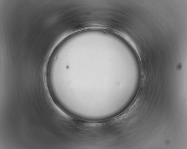 X0000116841243201001081452