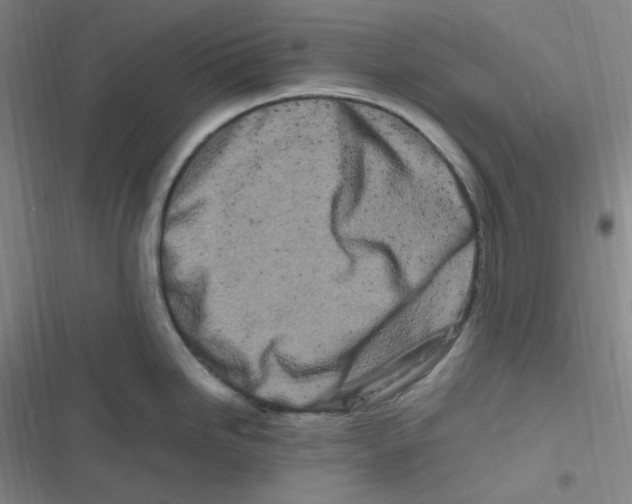 X0000116841246201001081452