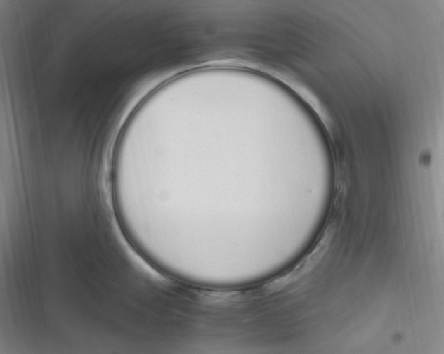 X0000116841247201001081452