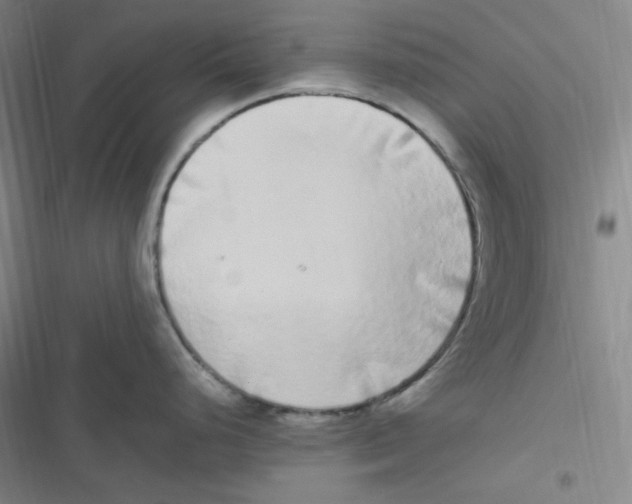 X0000116841248201001081452