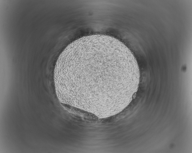 X0000116841249201001081451