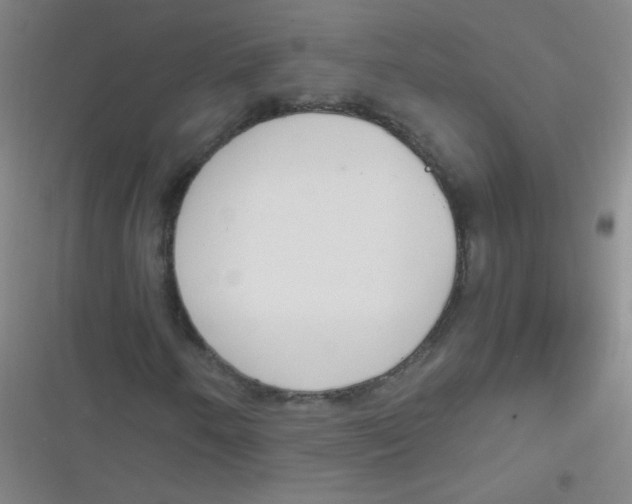 X0000116841250201001081451