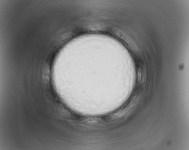 X0000116841251201001081451