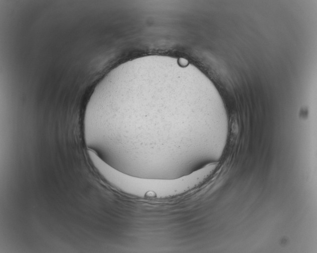 X0000116841252201001081451