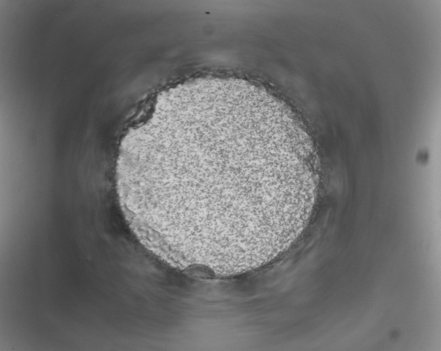 X0000116841253201001081451