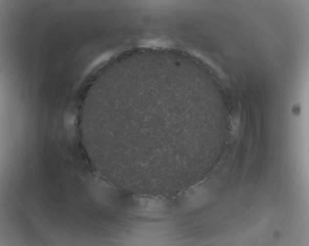 X0000116841254201001081451