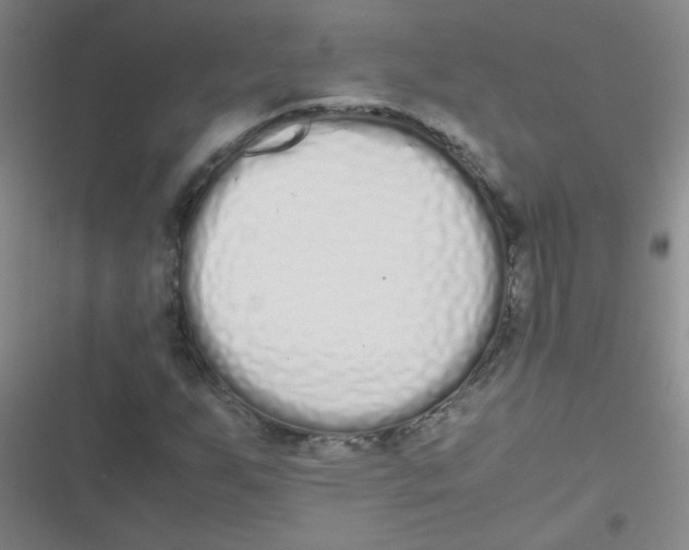 X0000116841255201001081451