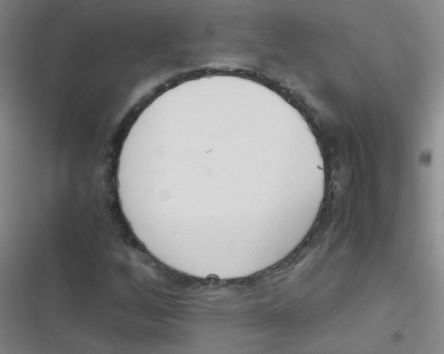 X0000116841256201001081451