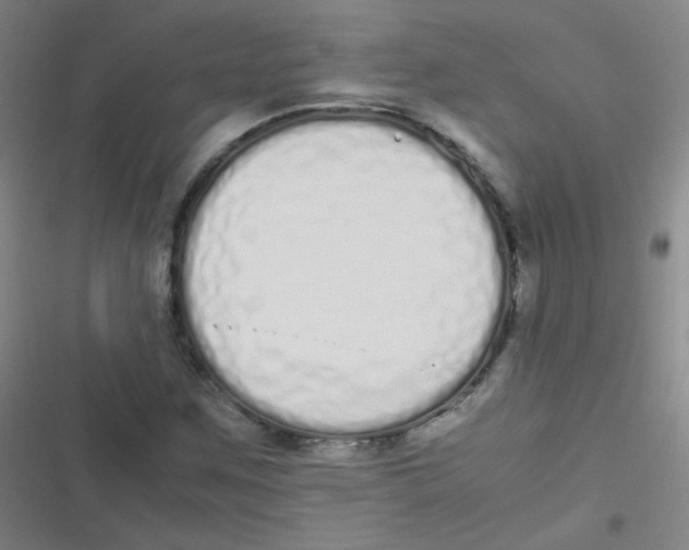 X0000116841259201001081451