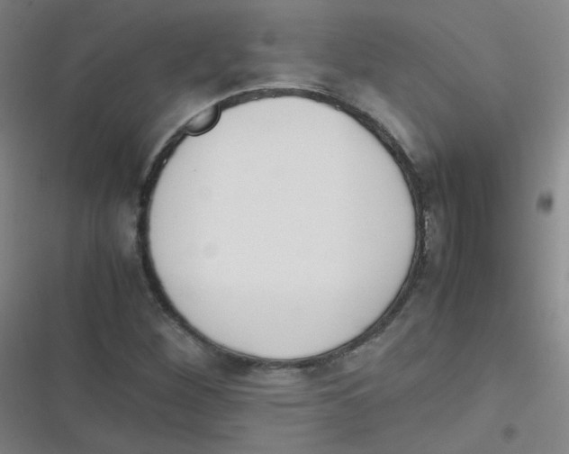 X0000116841260201001081451