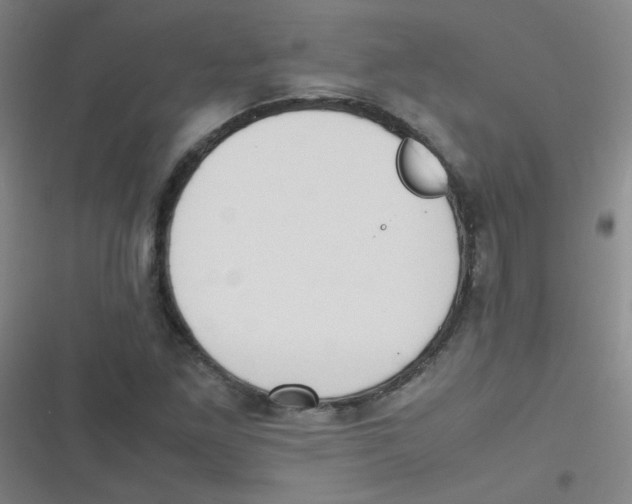 X0000116841261201001081451