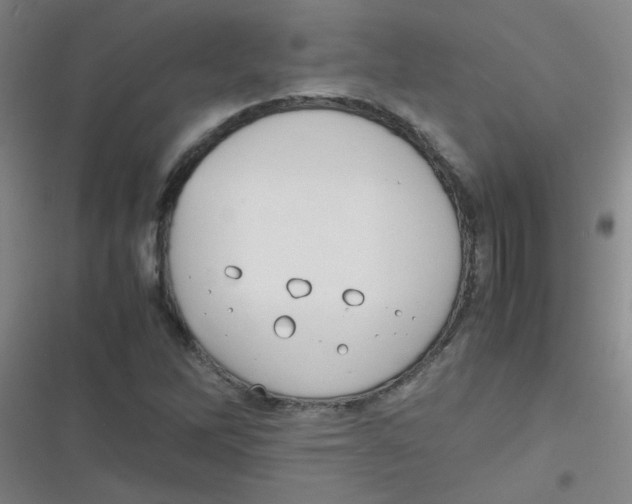 X0000116841262201001081451