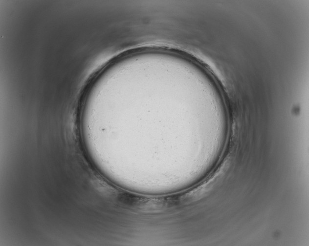 X0000116841263201001081451