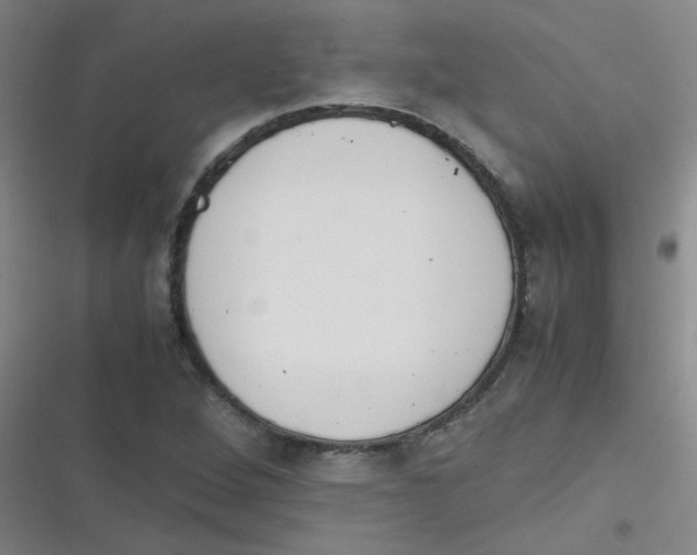 X0000116841264201001081451