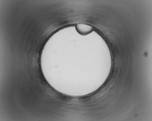 X0000116841265201001081451