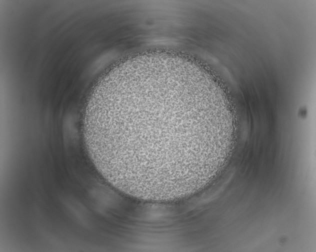 X0000116841266201001081451