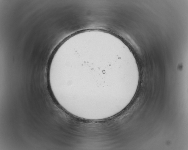 X0000116841268201001081451