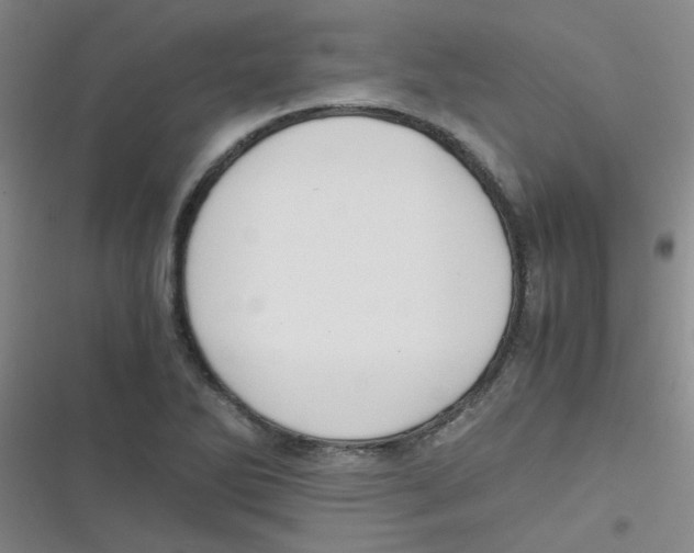 X0000116841270201001081451