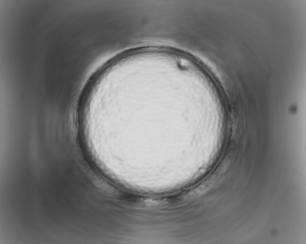 X0000116841271201001081451