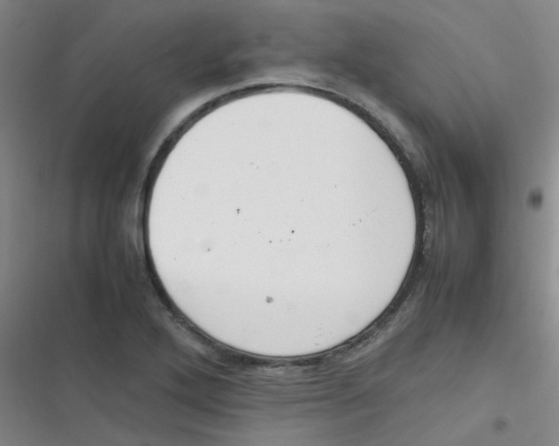 X0000116841272201001081451