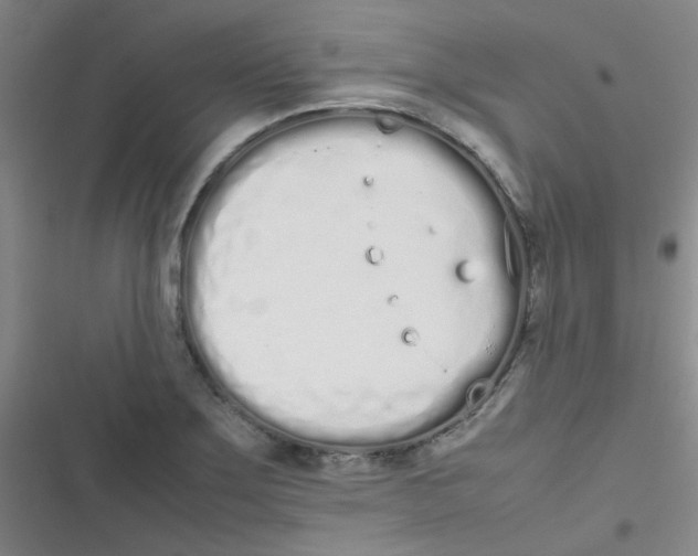 X0000116841275201001081451