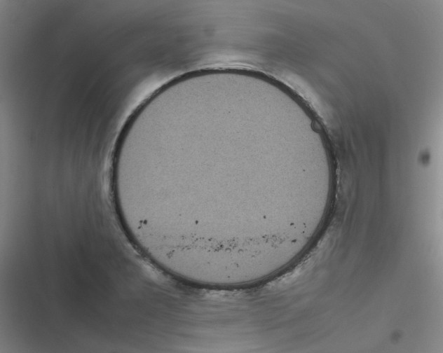 X0000116841277201001081451