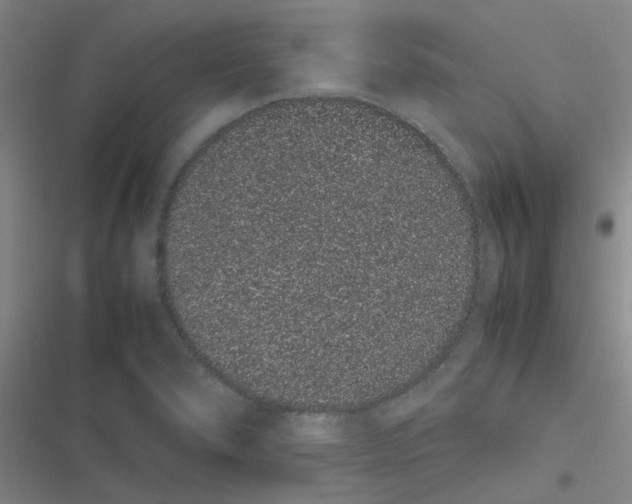 X0000116841278201001081451