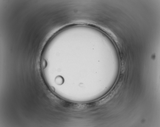 X0000116841279201001081451