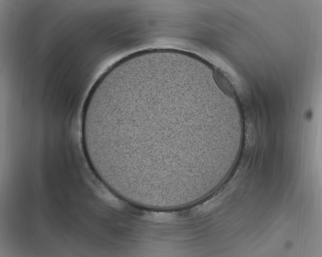 X0000116841280201001081451