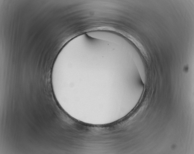 X0000116841281201001081451